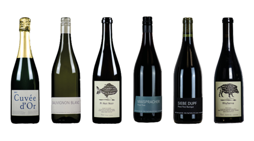 "Weine aus der Region" Entdecker-Paket 
Degustations Box inkl. Versandkosten