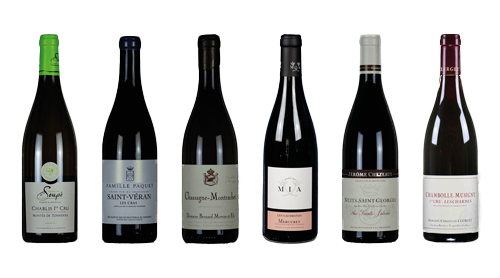 "Faszination Burgund" Entdecker-Paket
Degustations Box inkl. Versandkosten