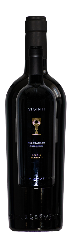 Viginti, Salento Negroamaro Rosso IGT, Schola Sarmenti