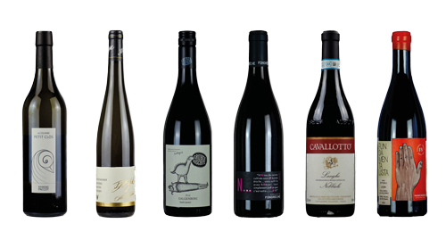 "Naturweine & Bio" Entdecker-Paket 
Degustations Box inkl. Versandkosten