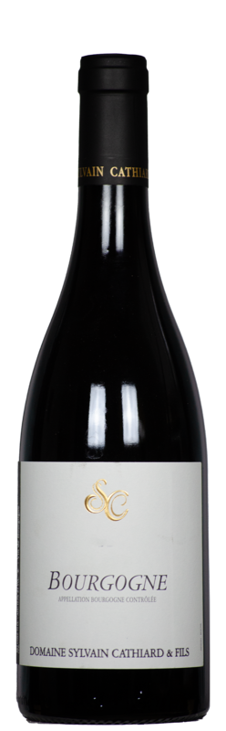 Bourgogne rouge AC, Domaine Sylvain Cathiard & Fils