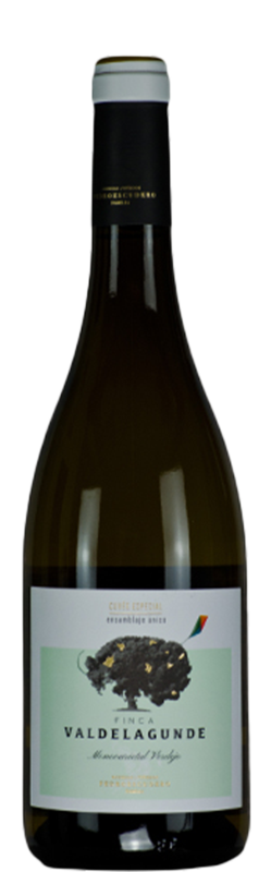 Finca Valdelagunde Verdejo VdT, Bodegas Pedro Escudero