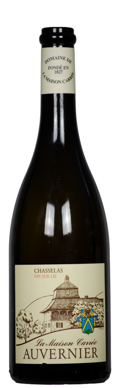 Chasselas Blanc sur lie, Domaine de la Maison Carrée