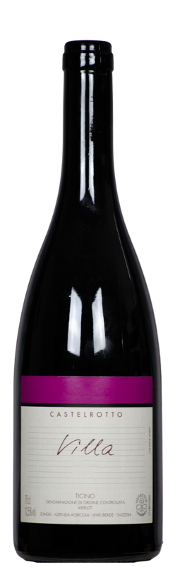 Villa DOC, Christian Zündel