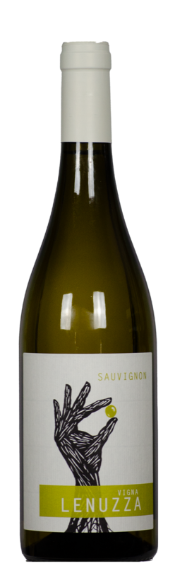 Sauvignon Blanc, Friuli DOC, Vigna Lenuzza