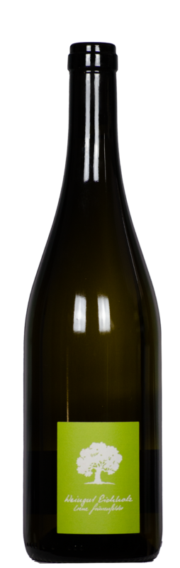 Jeninser Sauvignon Blanc, Weingut Eichholz, Jenins