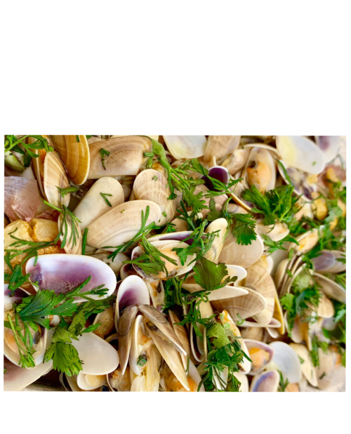 Moules et Vin - 24.10.2025
Enothek, Grenzacherstrasse 62, 4058 Basel