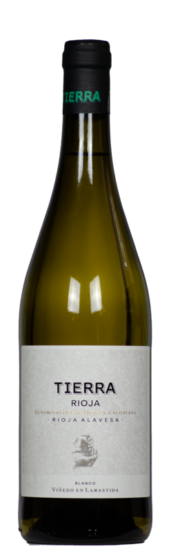Tierra Blanco Rioja DOCa, Bodegas Tierra
