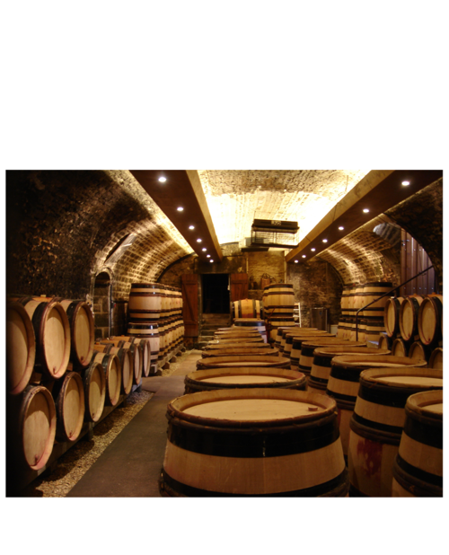 Das Burgund - Geheimnisvolle Eleganz - 6. November 2026
Enothek, Grenzacherstrasse 62, 4058 Basel