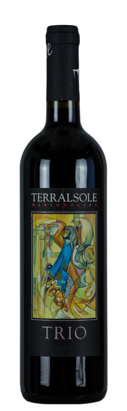 TRIO IGT, Azienda Terralsole