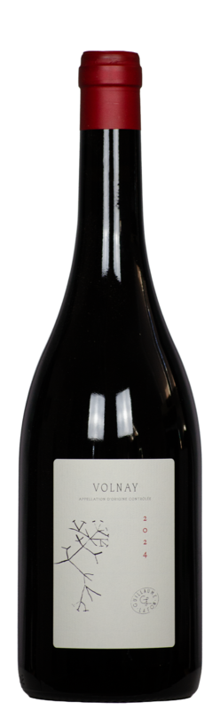 Volnay AC, Guillaume Lafon