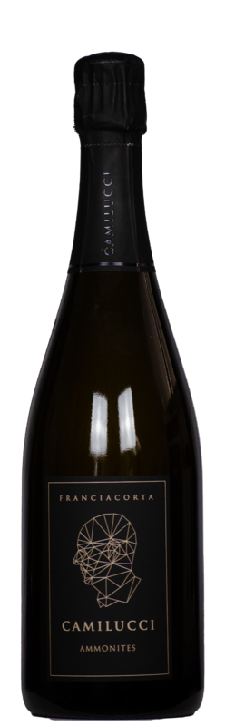 Franciacorta Brut DOCG, Ammonites, Camilucci
