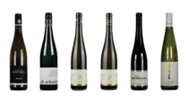 "Vielfältiger Riesling" Entdecker-Paket 