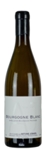 Bourgogne Blanc AC, Antoine Jobard