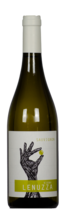 Sauvignon Blanc, Friuli DOC, Vigna Lenuzza