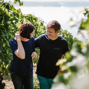 Weingut Krebs & Steiner