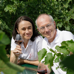 Domaine Preignes Le Vieux