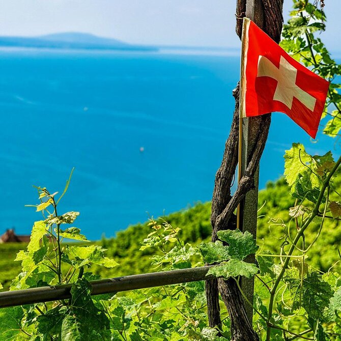Fokus Schweiz